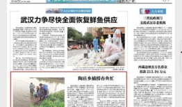 唐河近两天爆料新闻报道,揭秘最新爆料动态