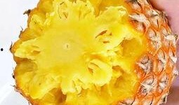 抖音网红菠萝酱吃瓜,揭秘娱乐圈幕后真相