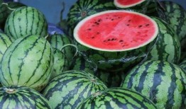 非洲网红吃瓜视频,趣味横生引网友热议